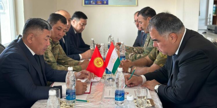 Кыргыз-тажик чек арасында учкучсуз аппараттарды учурбоо макулдашылды