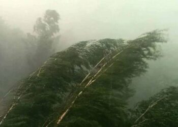 Эскертүү! Бишкек менен Чүйдө катуу шамал күтүлөт