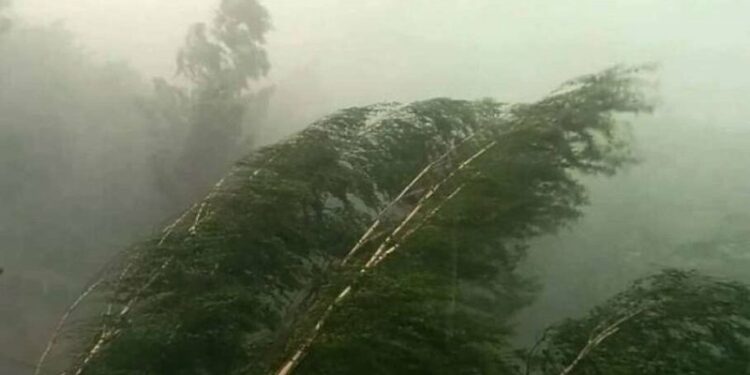 Эскертүү! Бишкек менен Чүйдө катуу шамал күтүлөт