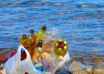 Ысык-Көлдө желим баштыктарды колдонуу чектелет