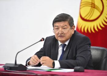 «Иштин жыйынтыгын көрбөй жатам». Акылбек Жапаров Жаратылыш ресурстары министрлигин сынга алды