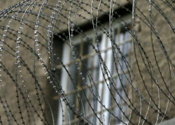 Алматыдагы СИЗОдо ачкачылык жарыялаган кыргызстандык боюнча ТИМ маалымат берди