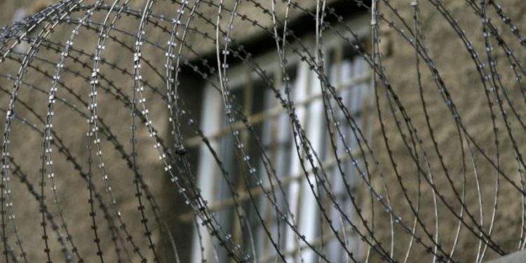 Алматыдагы СИЗОдо ачкачылык жарыялаган кыргызстандык боюнча ТИМ маалымат берди