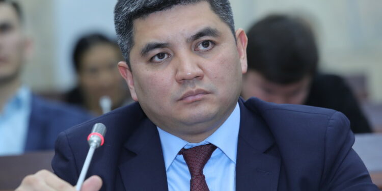 Депутат ууруларды эле эмес, алардын жакындарын да жазалоону сунуштады