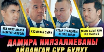 Дамира Ниязалиеванын тегерегиндеги чуу: Кайра шайлоого кандай карайсыз?