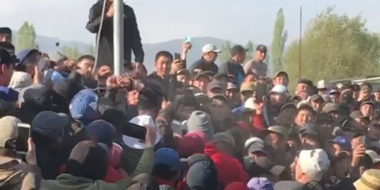 Таластагы мал базарда эркек кишини мамыга байлап койгон окуя. Милиция анын шеригин кармады