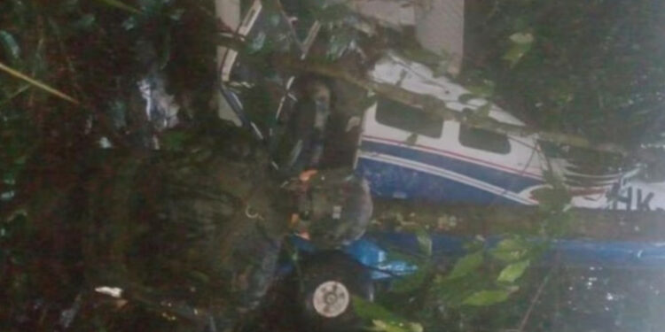 Колумбияда токойго учак кулаган. 4 бала 17 күндөн кийин аман-эсен табылды