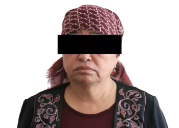 Аламүдүндө жер тилкесин мыйзамсыз сатууга шектелген аял кармалды