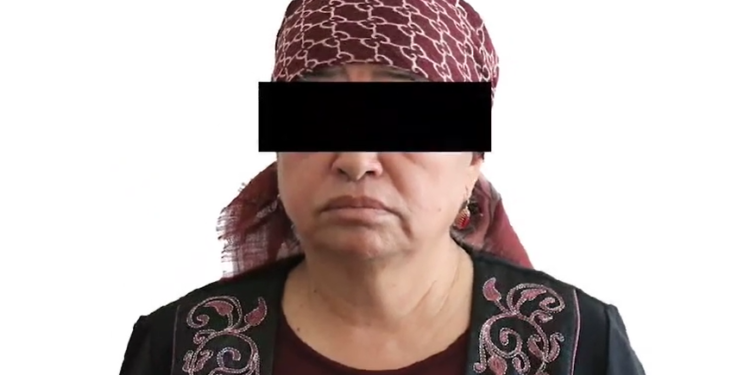 Аламүдүндө жер тилкесин мыйзамсыз сатууга шектелген аял кармалды