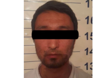 Милиция: «Бишкекте социалдык тармактарда улуттар аралык кастыкты козуткан жаран кармалды»