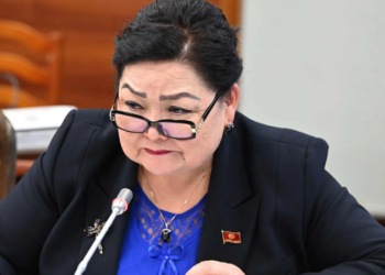 Депутат Надира Нарматованын уулу кармалганы маалымдалды