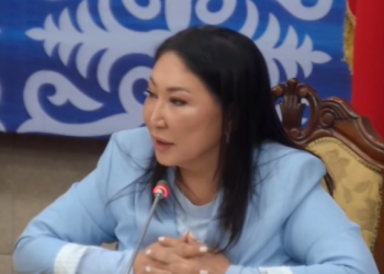 «Бала-чака багып, отура бергиле». Депутат эркектердин арасында болуп жаткан сөздөрдү айтты