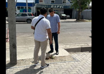 Бишкекте бакты кыйып салган жаранга айып салынды