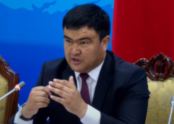 «Кантип «жеп», тонош керектигин үйрөтөбү?». Депутат Аскар Акаевге кайрылды