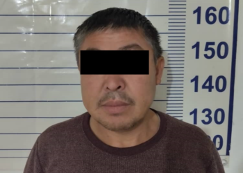 Чүйдө эч себепсиз аялын сабап, мойнуна бычак сайган деген шек менен жолдошу кармалды