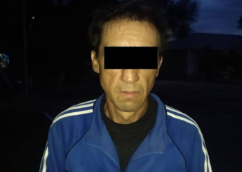 Милиция: «Чүйдө эне уулунун ур-токмогунан каза болду»