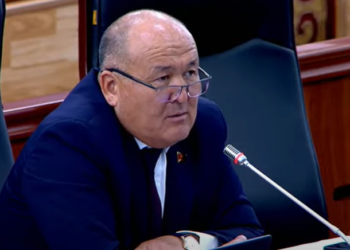 Депутат билим берүү министрине фейктерди “басып”, колдоо көрсөтүп жатканын айтты