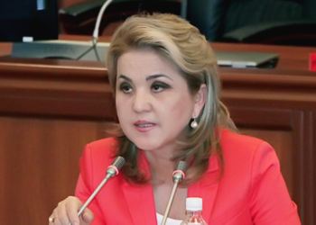 БШК: «Дамира Ниязалиеванын добушу жокко чыгарылса, кайра шайлоо өтүшү мүмкүн»