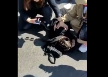 Айдоочу жөө жүргүнчүлөр өтүүчү жерден мектеп окуучусун сүзүп кеткен видео тарады