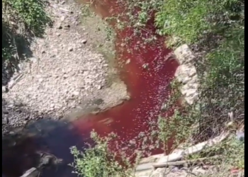 Ала-Арча суусундагы кан каяктан агып жатканы тууралуу маалымат беришти