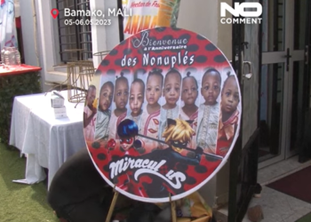 Дүйнөдөгү жалгыз 9 эм экинчи туулган күнүн белгилешти