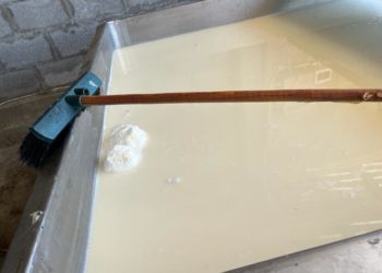 УКМК сүт өндүргөн жашыруун цехти хансарайдан тапты (сүрөт)