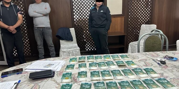 Салык кызматкерине пара берип жаткан жеринен чет өлкөлүк жаран кармалды