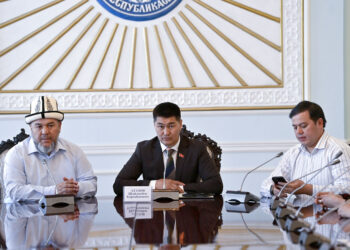 Депутат Атазов элдик дарыгерлердин тизмесин аныктоону табыштады