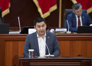 Депутат: «Жыл сайын 3 миңдей жөө жүргүнчүнү сүзүп кетишет»