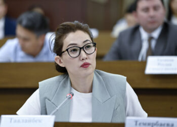 Депутат аймактардагы үйдүн бир чарчы метри 550 доллардан болорун кымбат деди