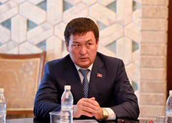 Депутат: «Эмне үчүн акчасы барлар жазадан кутулат, ал эми акчасы жок байкуштар абакта отуруш керек»