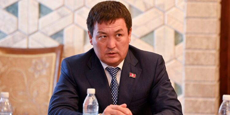 Депутат: «Эмне үчүн акчасы барлар жазадан кутулат, ал эми акчасы жок байкуштар абакта отуруш керек»