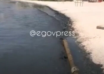 Каспий деңизи кара өңгө боёлду (видео)