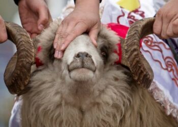 Курман айт майрамы 28-июнда белгиленет