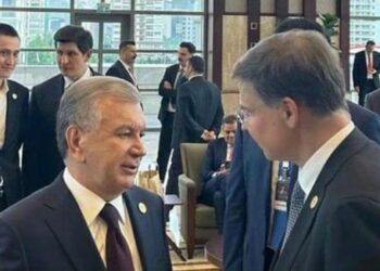 Садыр Жапаровдун уулунун Түркия президентинин инаугурациясына барышы. Эрбол Султанбаев маалымат берди