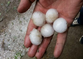 «Тооктун жумурткасындай». Чүйдө мөндүр жааган видео тарады