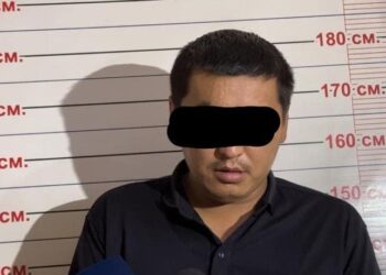 Ноокат районунда 22 мал уурдоого шектүү кармалды