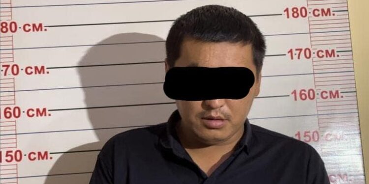 Ноокат районунда 22 мал уурдоого шектүү кармалды