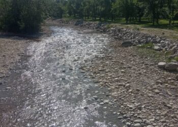 Таластын дарыяларында суунун келиши эселеп аз болууда