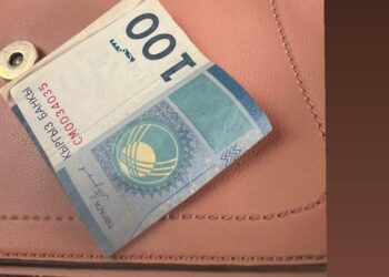 Жүрөк элжирейт! Жол киреге акчасы жетпей калган кызга карыя 100 сом берген