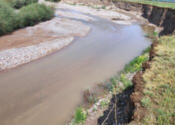 Каркыра дарыясынын суу жеп кеткен жээктери бекемделүүдө