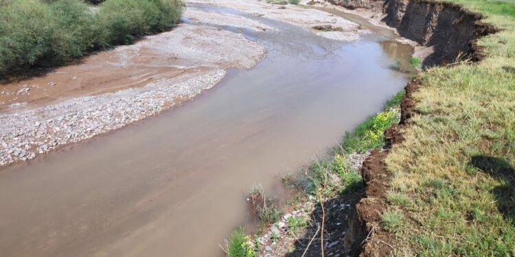 Каркыра дарыясынын суу жеп кеткен жээктери бекемделүүдө