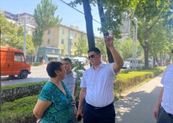 Вице-мэр Орунтаев Бишкектин Манас кең көчөсүн бойлой кыдырды
