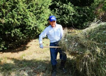 84 жашка келип калган Медеткан Шеримкулов чөп чабыкта жүрөт. А сизчи?