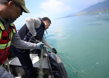«Сары-Челек таза экен, Соң-Көлдө абал оор деп уктум». Садыр Жапаров Ысык-Көлдү таштандыдан тазалоого катышты