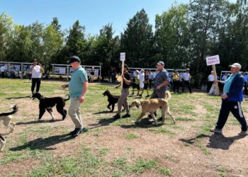 Буранада тайгандар катышкан этнофестиваль үчүнчү жолу өттү