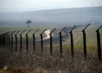 Баткенде чек арадан мыйзамсыз өткөн 3 чет өлкөлүк кармалды