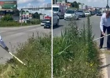 Президент өзү чөп чапты. Ал «бул ишти акыркы жолу жасап жатам» деди