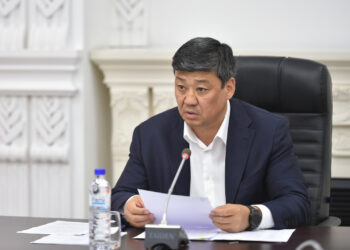 Бакыт Төрөбаев: «Сүт жана сүт азыктарын экспорттоону жакшыртуу каралууда»