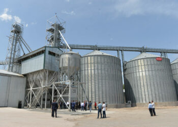 Ысык-Атада тоюттун сапатын европалык стандартка чейин жакшырткан завод ачылды